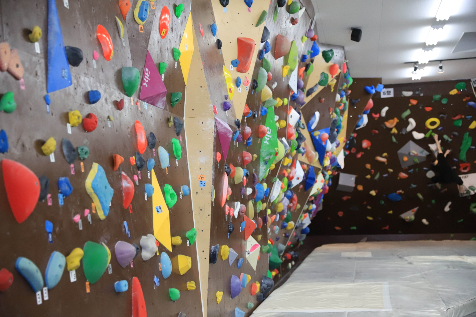 フロア案内 クライミングジム Scelta