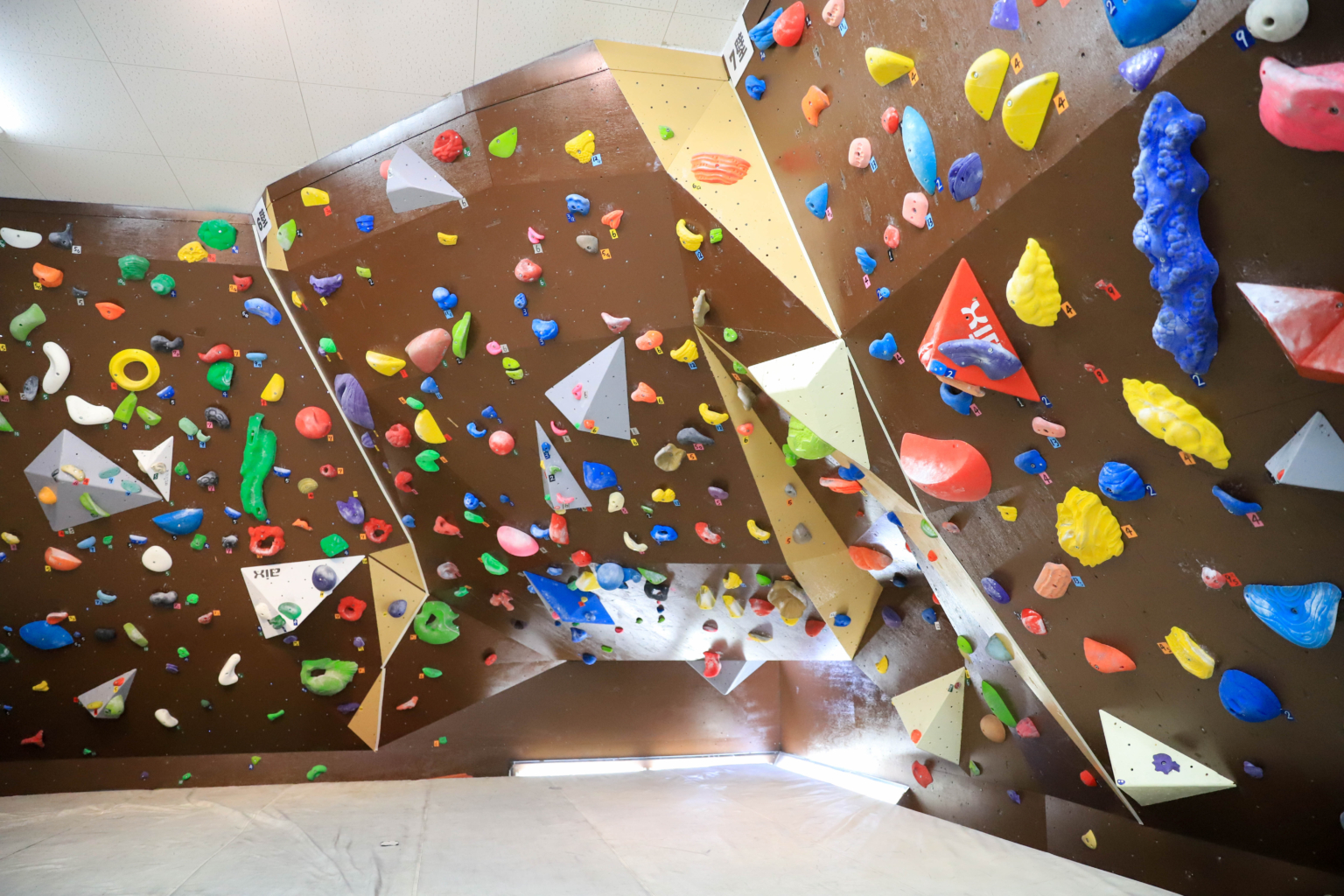 フロア案内 クライミングジム Scelta